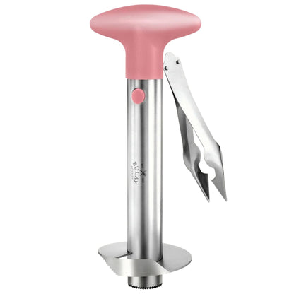 Stainless Steel Pineapple Corer