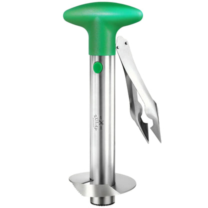 Stainless Steel Pineapple Corer