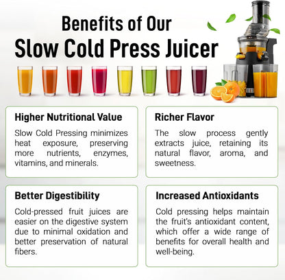 Zulay Kitchen Masticating Juicer