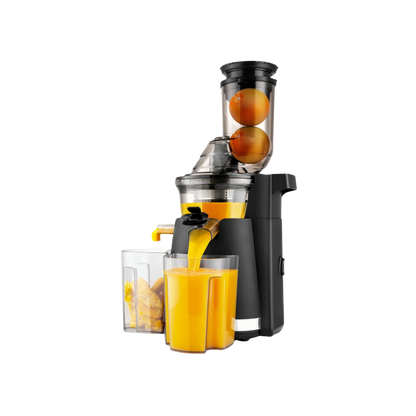 Zulay Kitchen Masticating Juicer